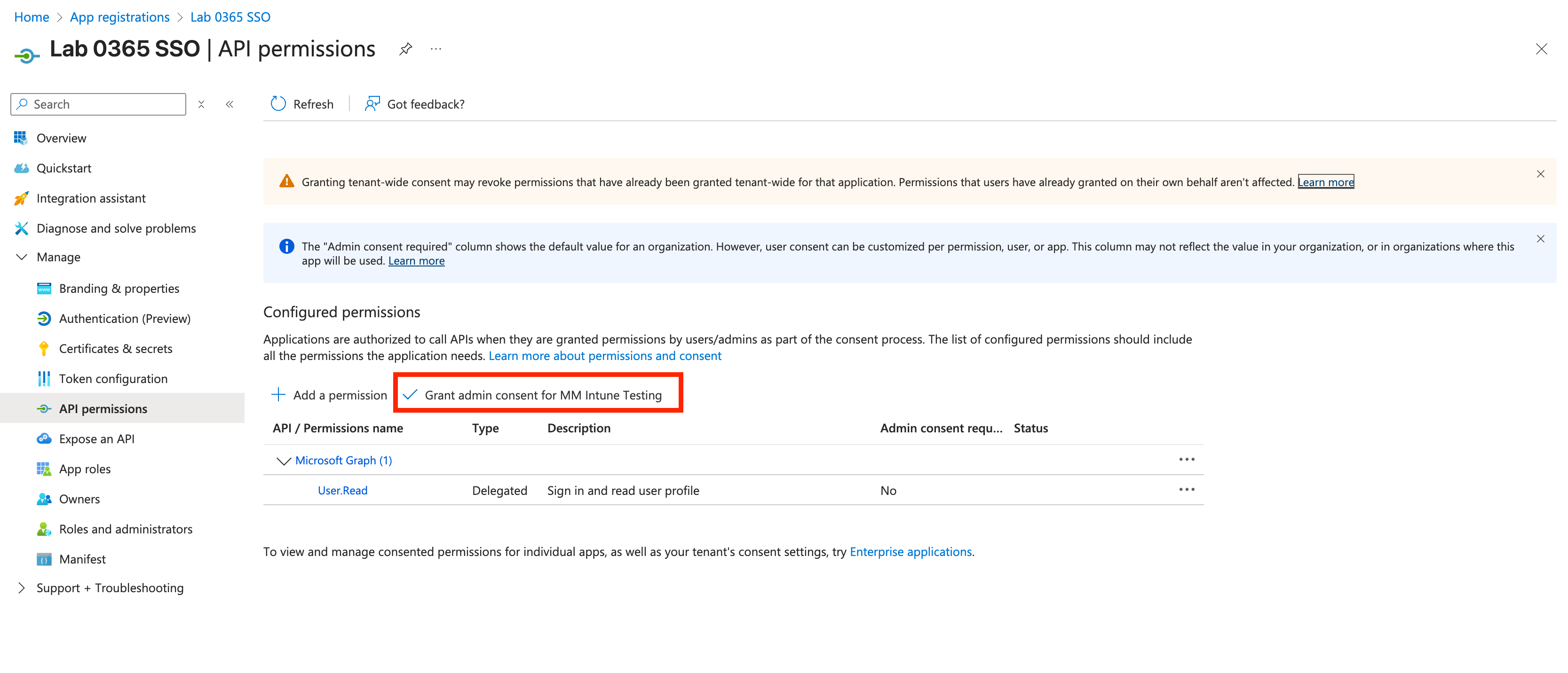 Azure 애플리케이션 관리자 동의 부여