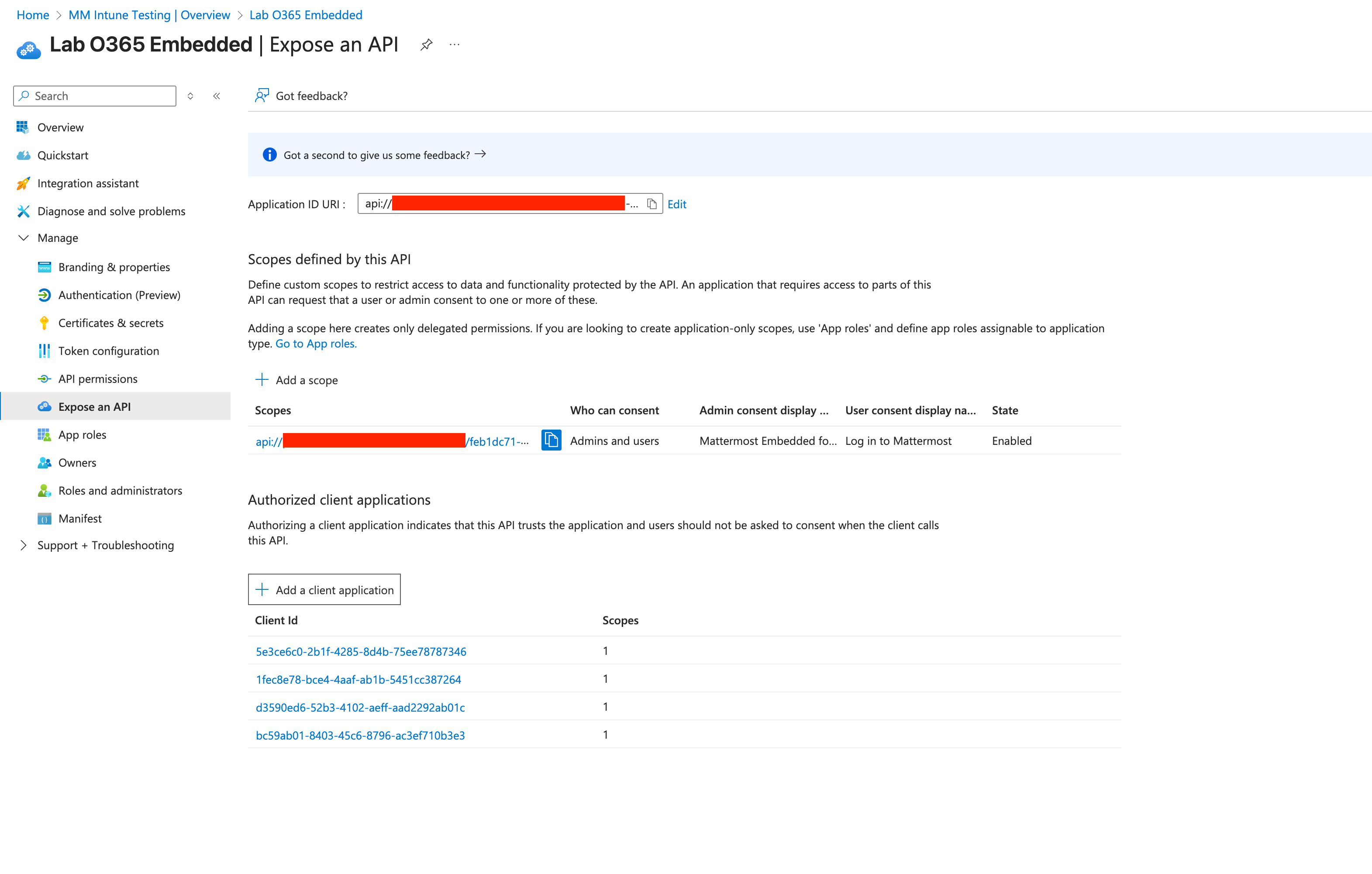 Azure에서 Expose an API 화면을 구성한 예시.